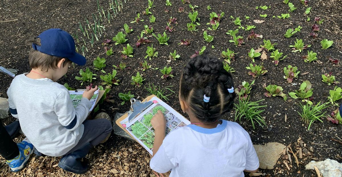 Fall Children's Garden