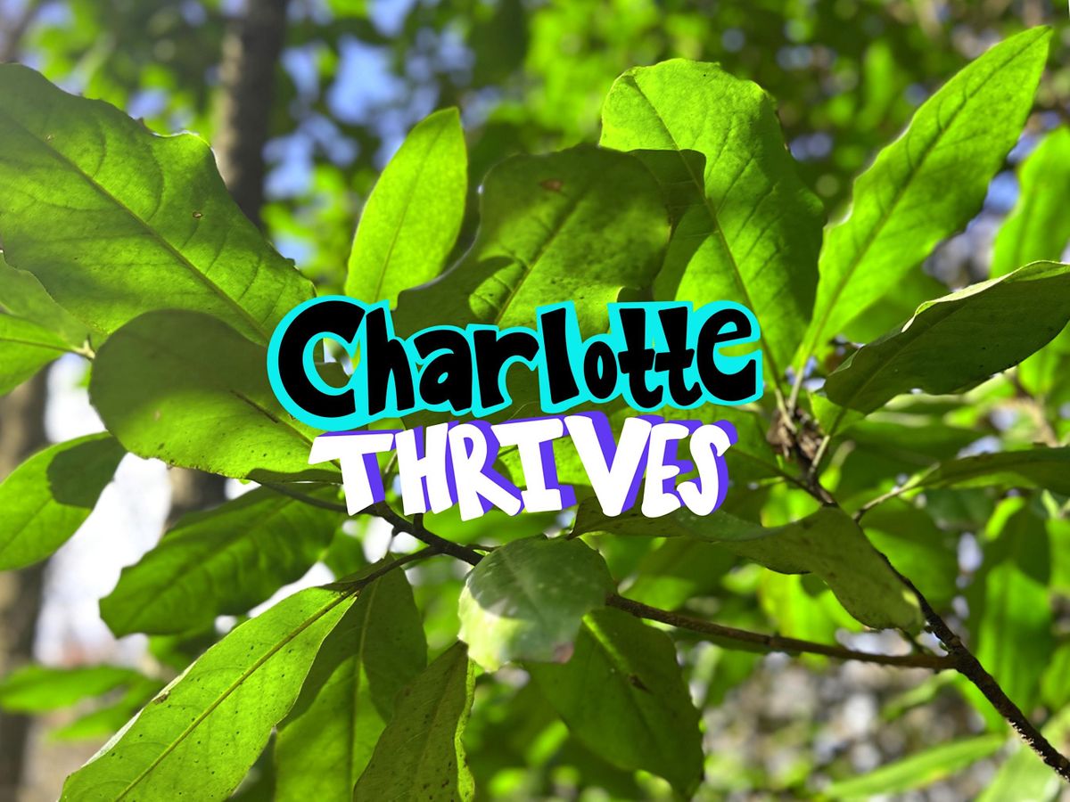 Charlotte Thrives Outside: Evergreen Nature Preserve