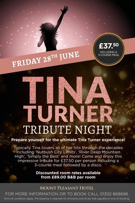 Tina Turner Tribute Night - Sold Out