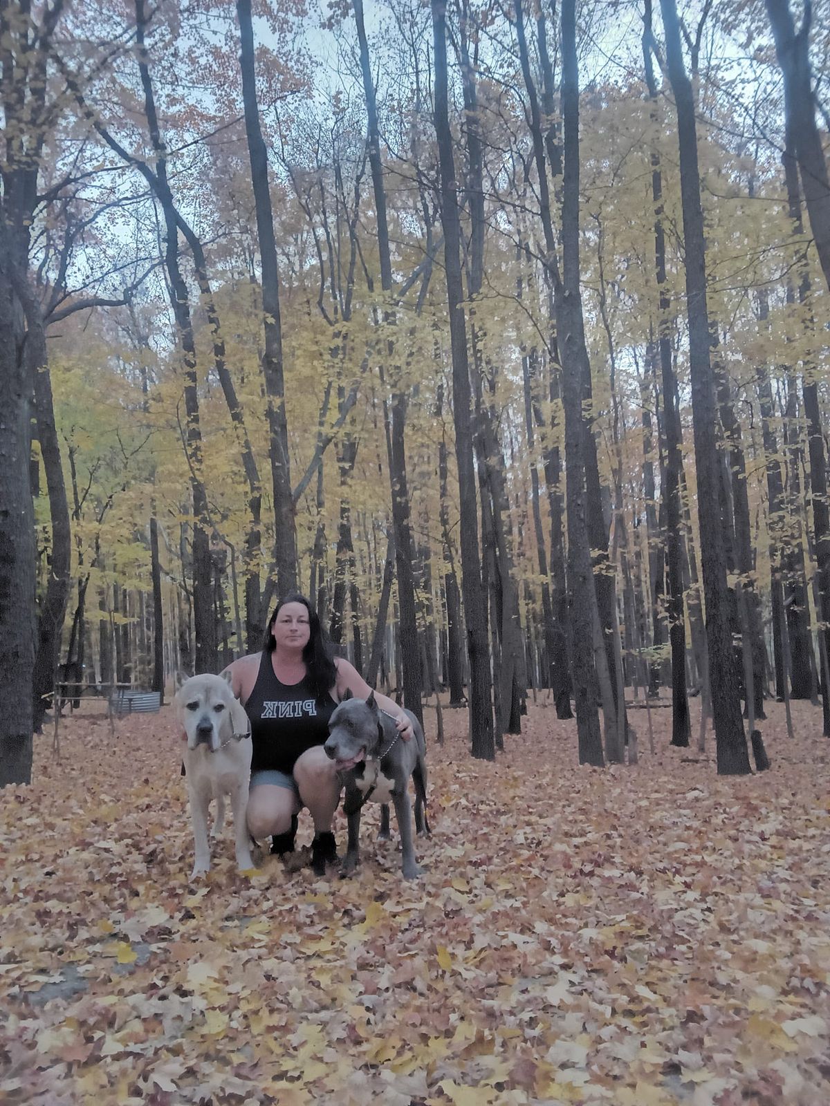 Bennett Park Pack Walk