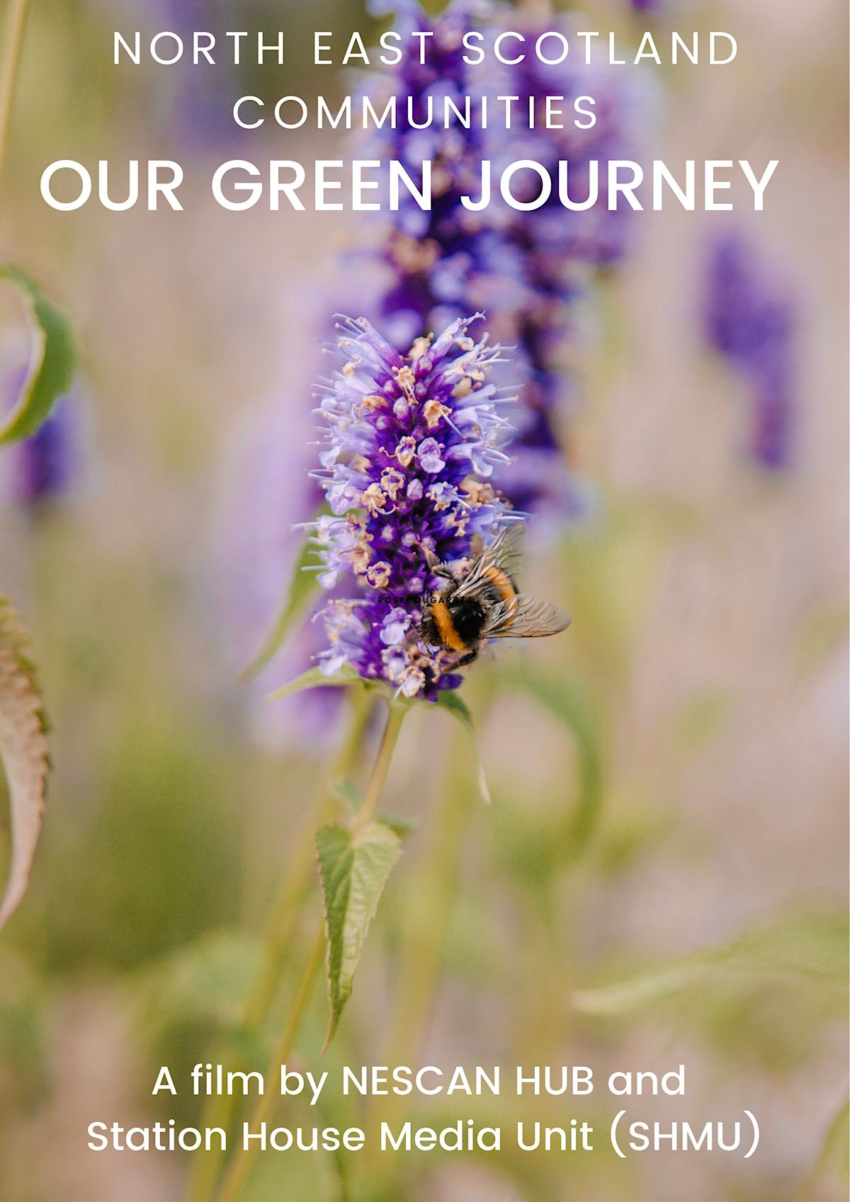 North East Scotland Communities Our Green Journey