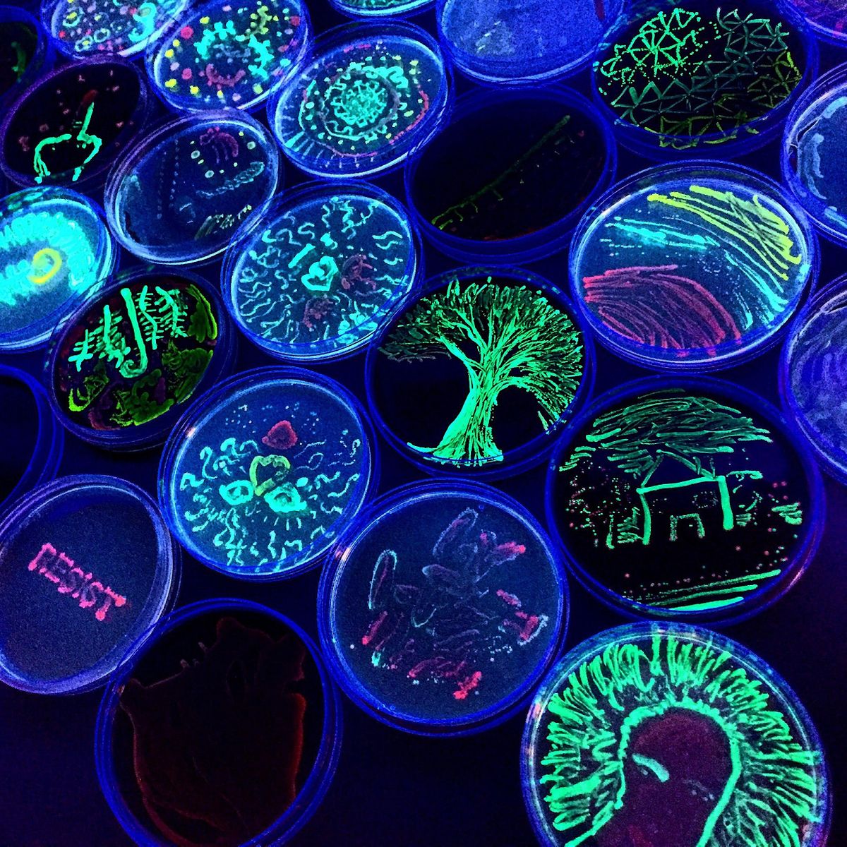 Painting with Microbes: ASM Agar Art Contest