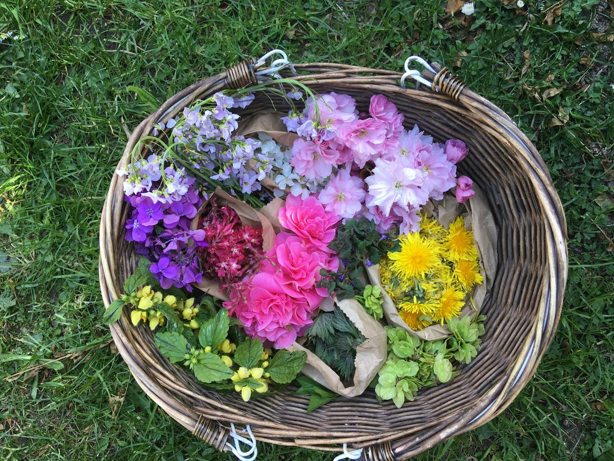 Beltane Forage