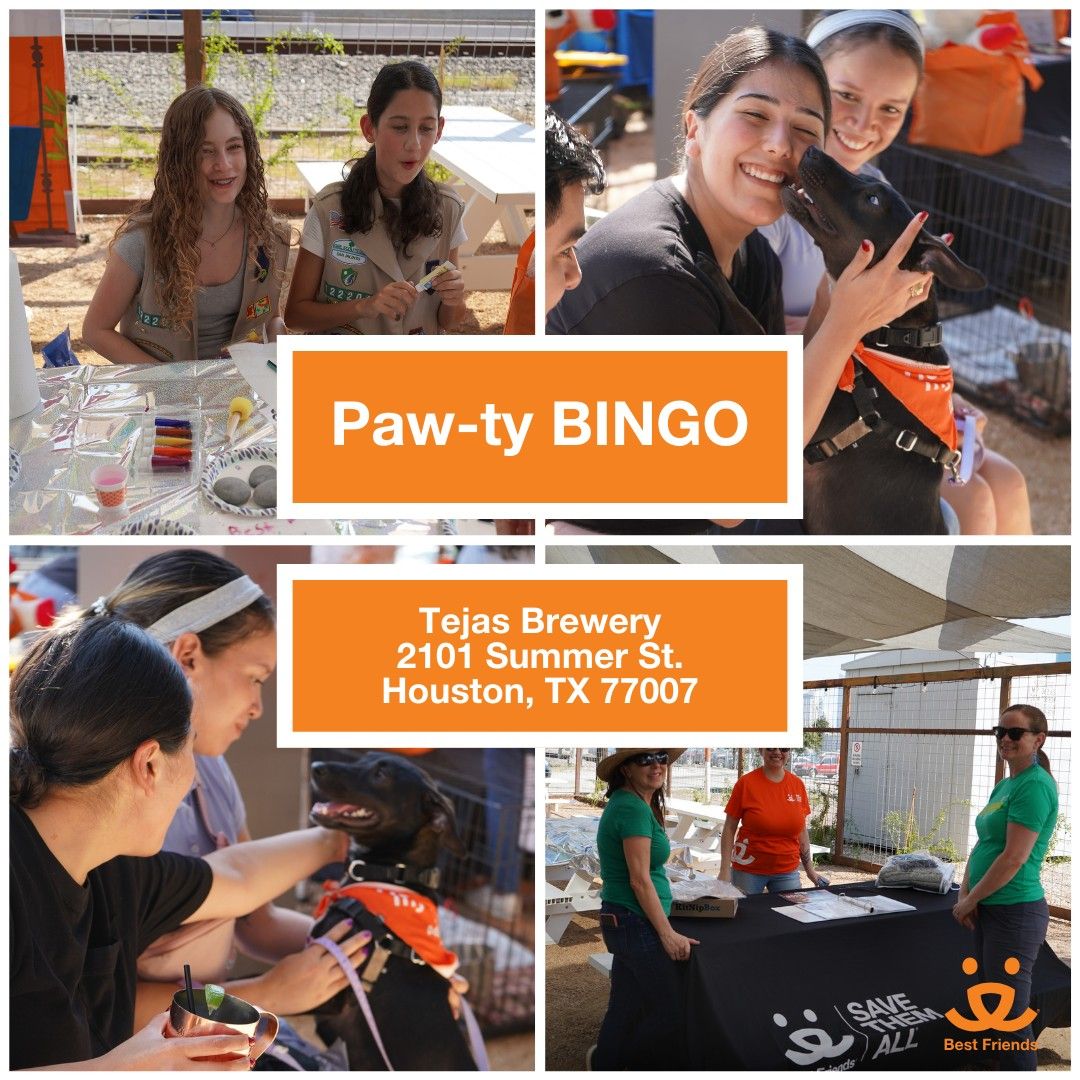 Houston: Paw-ty Bingo at Tejas Brewery