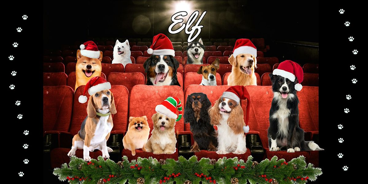 CHRISTMAS DOGGY CINEMA SCREENING