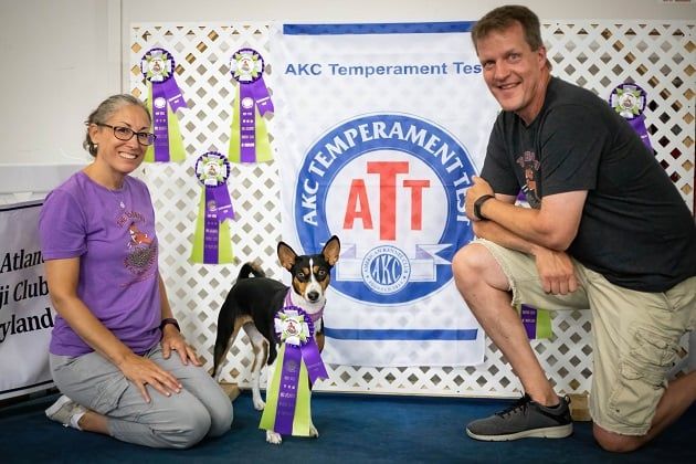 Mid Atlantic Basenji Club of Maryland AKC Temperament Testing