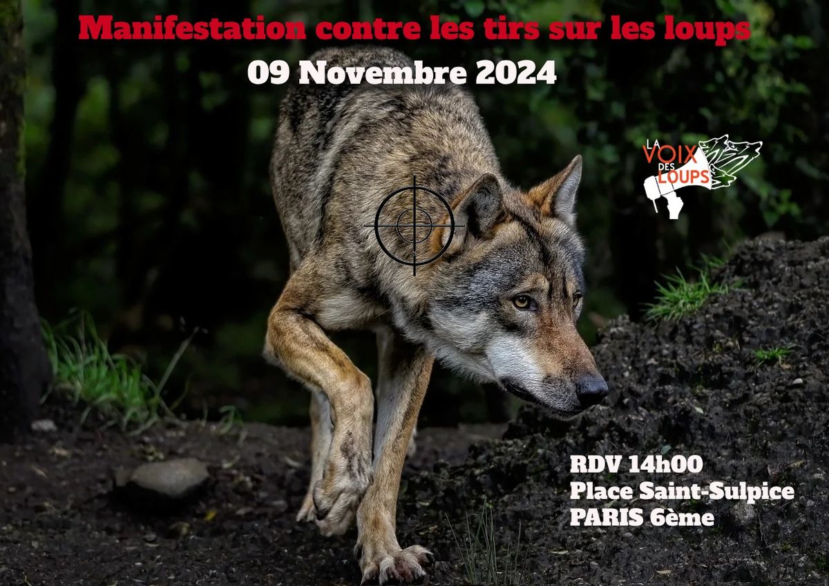 Manifestation contre les tirs sur les loups