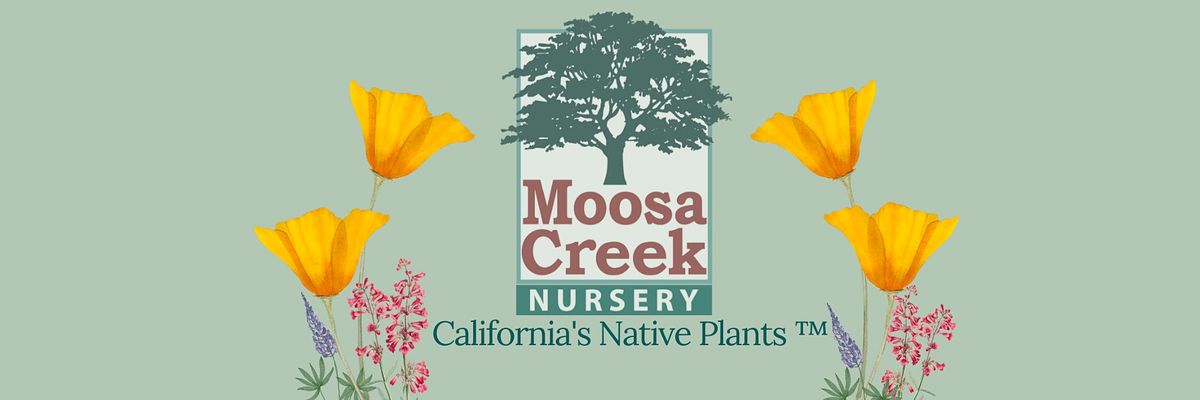 Moosa Creek Nursery's Annual Sip & Shop