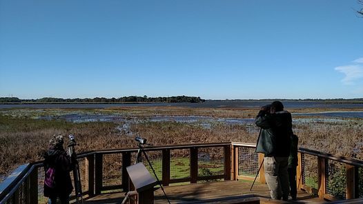 Augustine Wildlife Area Delaware Delaventure + Delaware Bird-A-Thon: Birding Hike, Augustine Wildlife Area,  Odessa, 7 May 2021