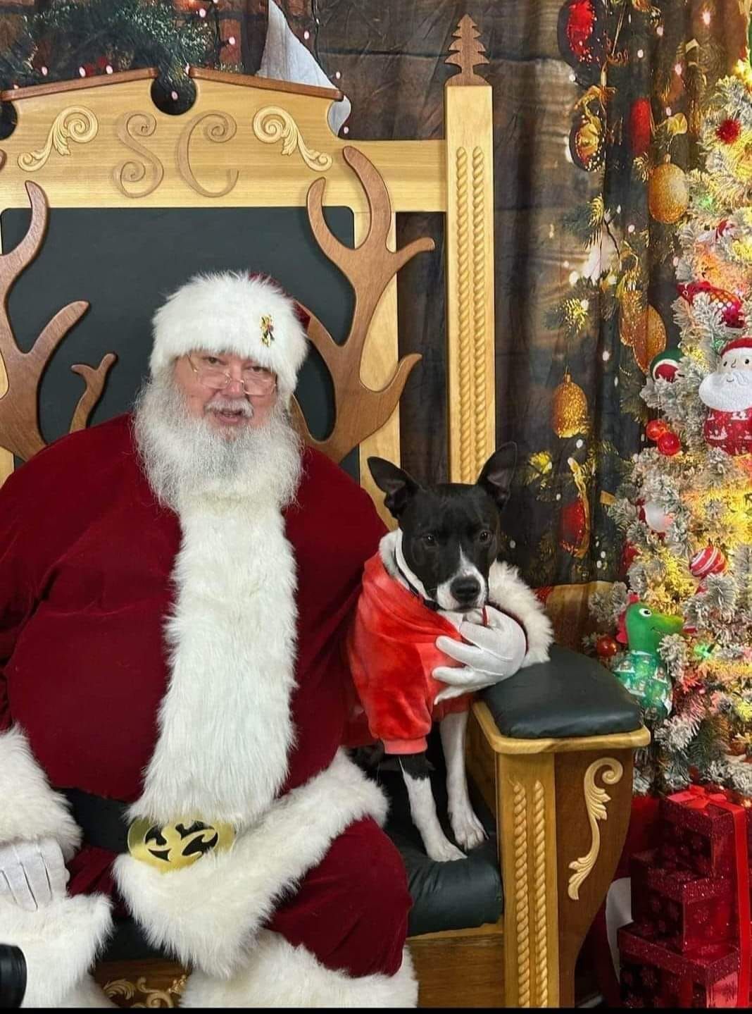 Picture Your Pets with Santa