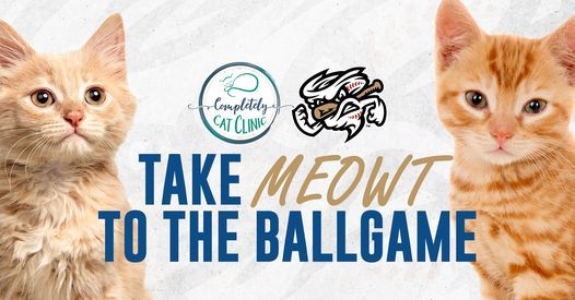Take Meowt To The Ballgame Werner Park Sarpy County Nebraska Papillion 18 May 2022 Take Meowt To The Ballgame Werner Park Sarpy County Nebraska Papillion 18 May 2022
