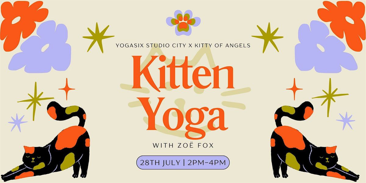 Kitten Yoga: YogaSix Studio City x Kitty of Angels