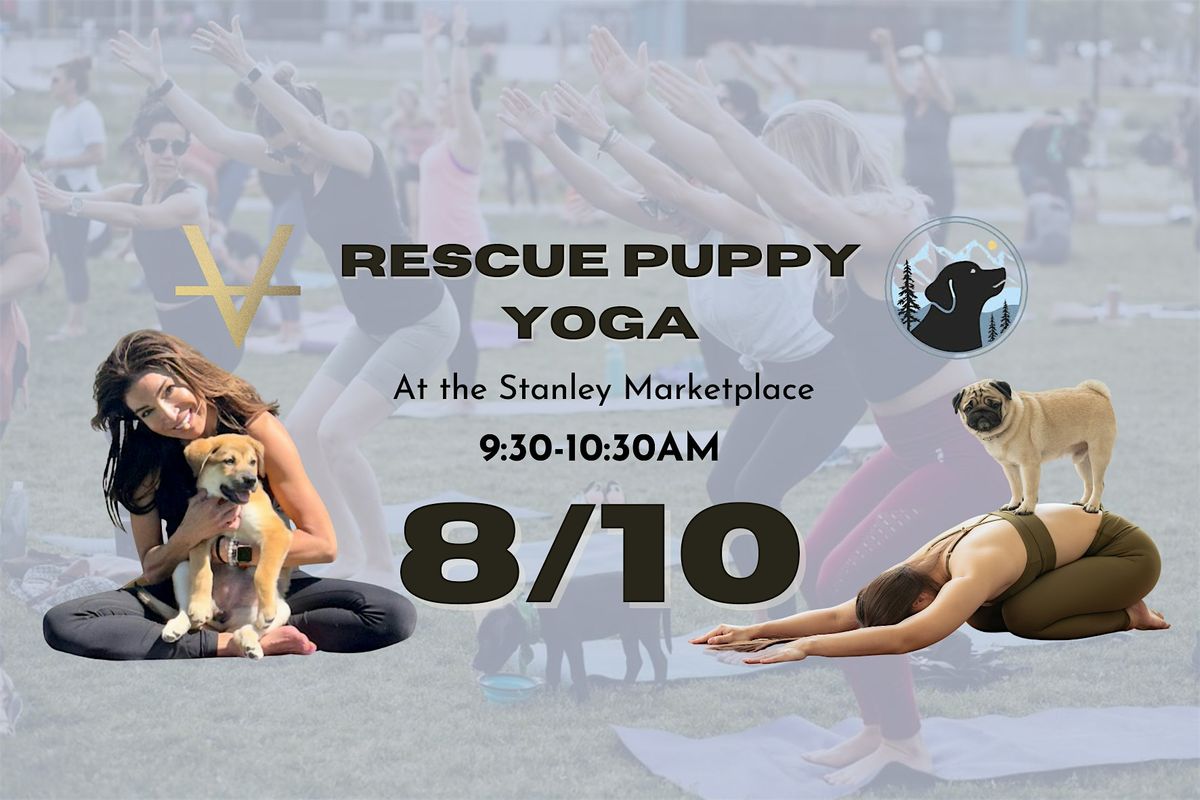 Rescue Puppy Yoga @ Stanley Marketplace!