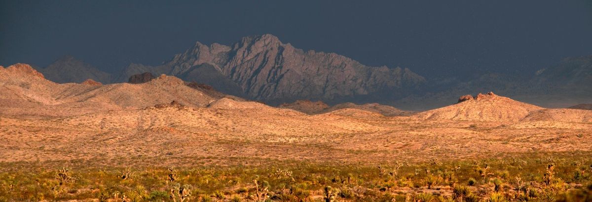 February LVAS general meeting: Avi Kwa Ame National Monument & the Path to Dark Sky Park