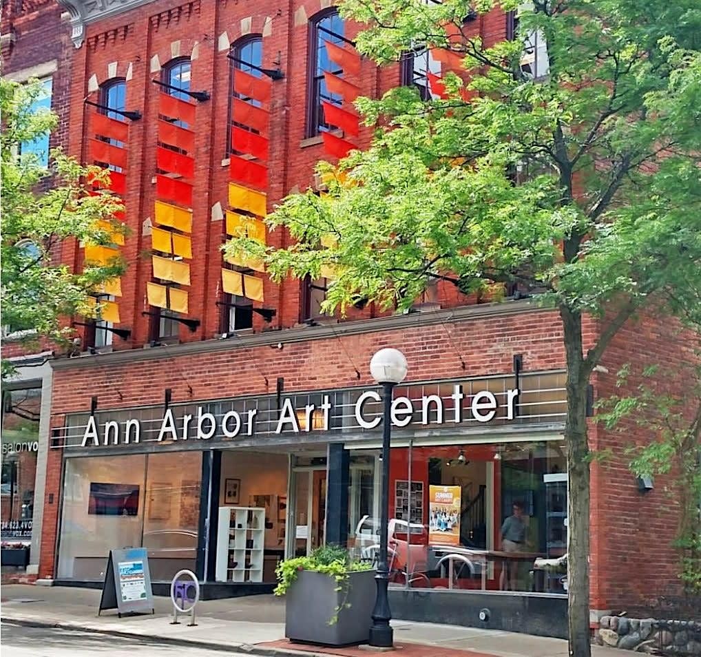 Ann Arbor Murals and Alleys walking tour!