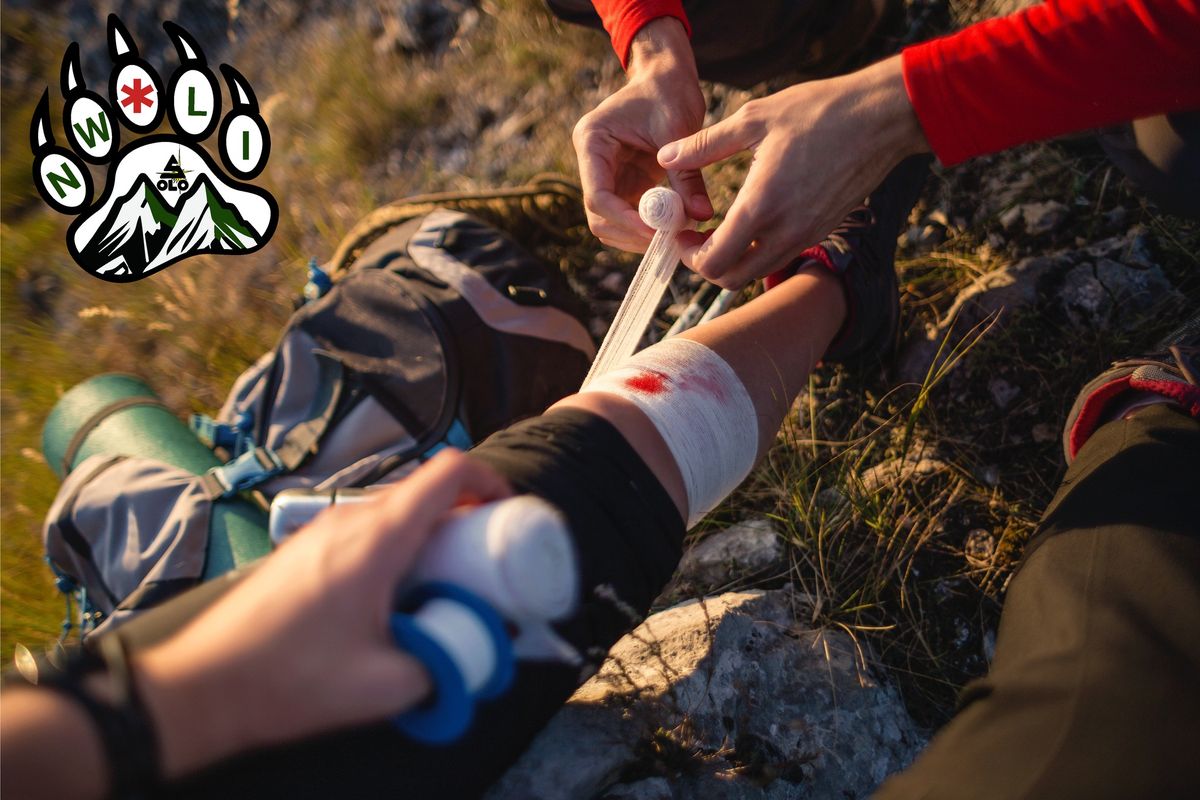 Wilderness First Aid (WFA)