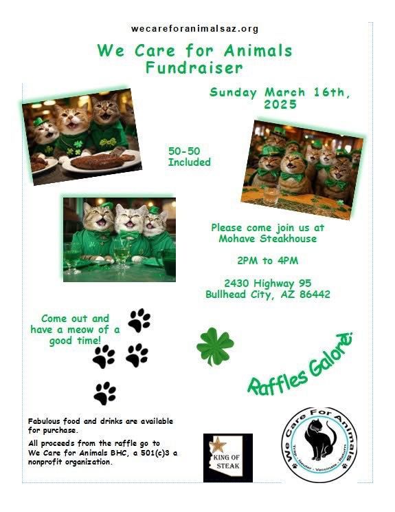 St. Paddy's Day Fundraiser 