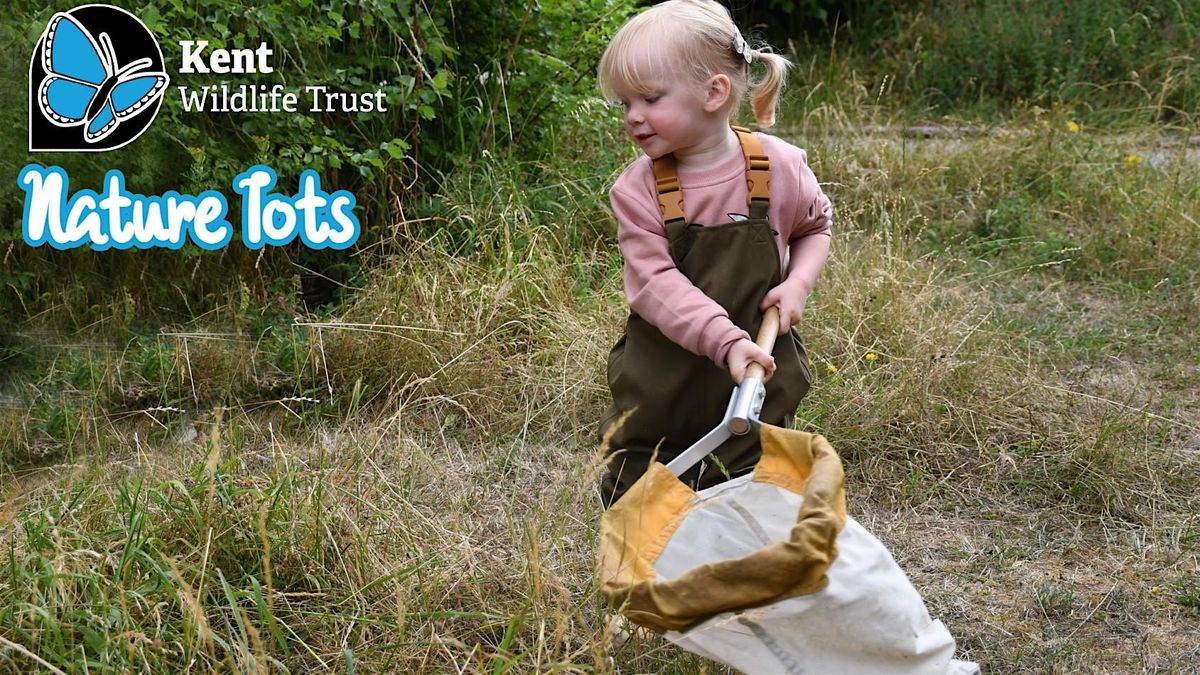 Nature Tots Sevenoaks (Nov\/Dec - Thursday morning)