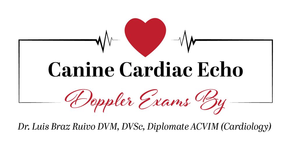 Echocardiogram With Color Flow Doppler Breed Screen Clinic