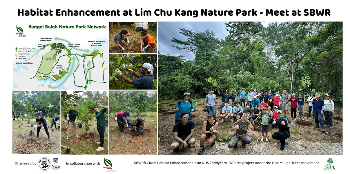 Habitat Restoration at SBWR\/Lim Chu Kang Nature Park (Nov 2024)