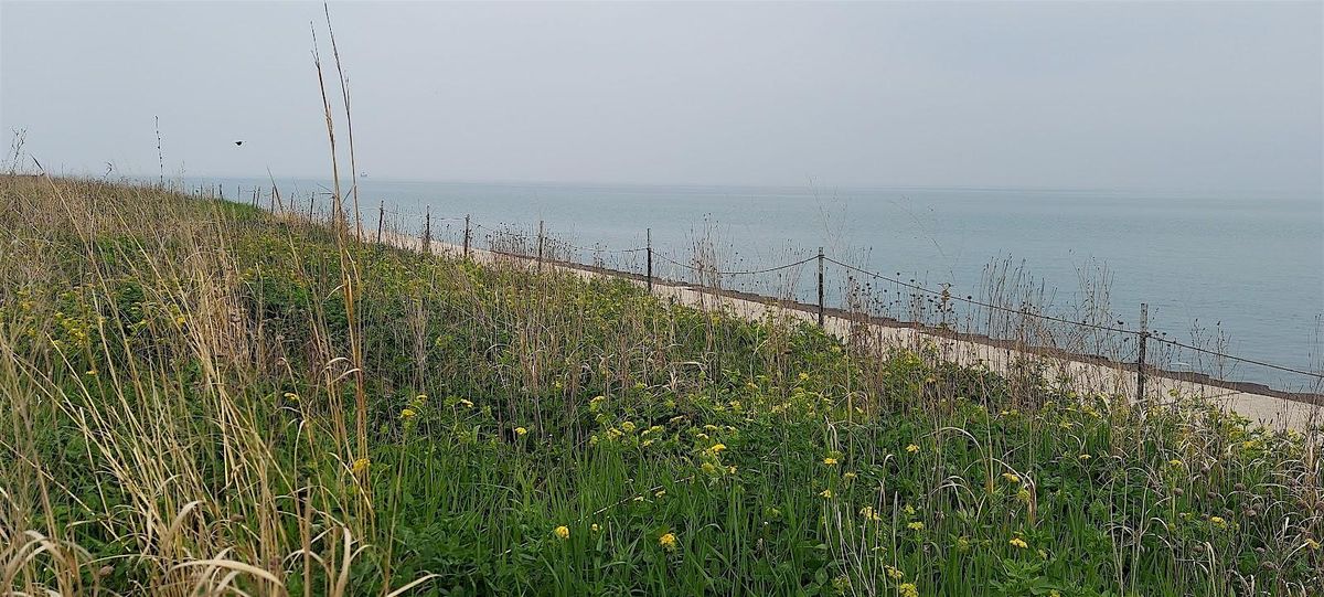 Lakefront Walk