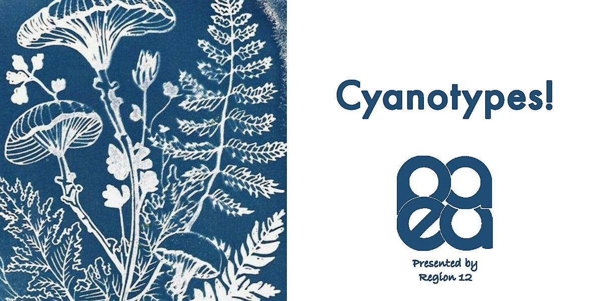 Cyanotypes!