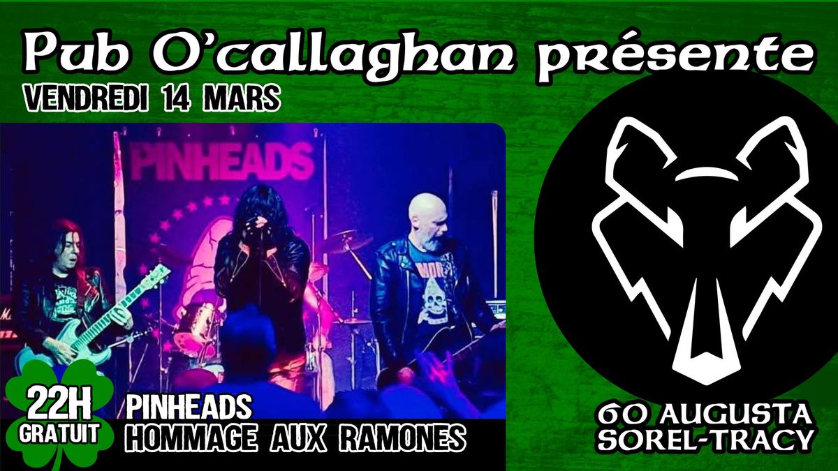 HOMMAGE AUX RAMONES au PUB O'CALLAGHAN - 18 ans et plus