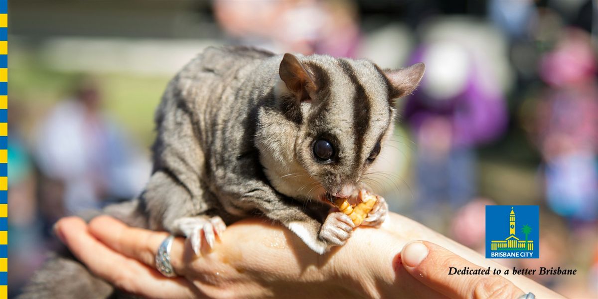 12 Days of Christmas - Meet Wildlife Neighbours