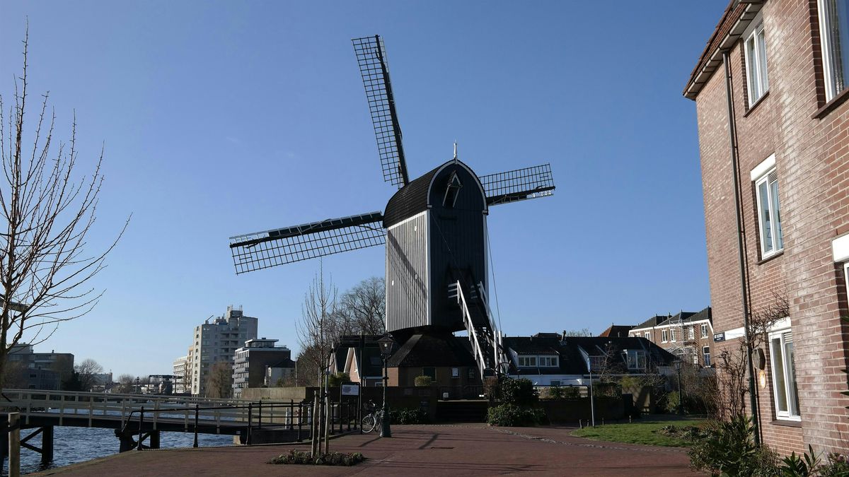 How Rembrandt van Rijn became world's greatest painter - Quest Experience