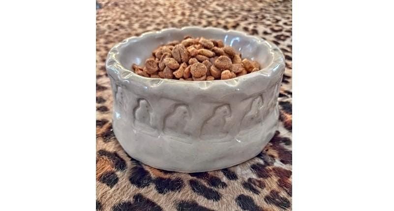 Make a Pet Bowl | Pottery Workshop w\/ Siriporn Falcon-Grey