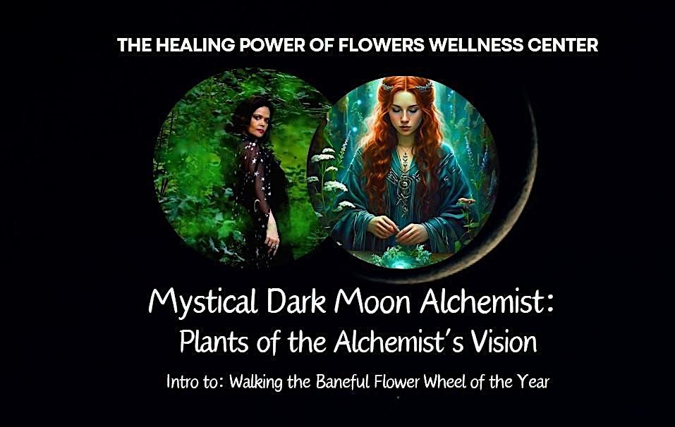 Mystical Dark Moon Alchemist:  Plants of the Alchemist\u2019s Vision In-Person