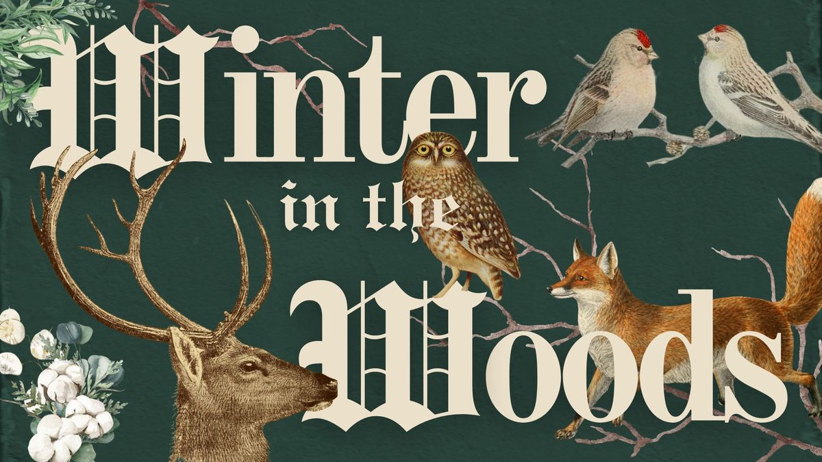 Gallery Opening: Winter in the Woods