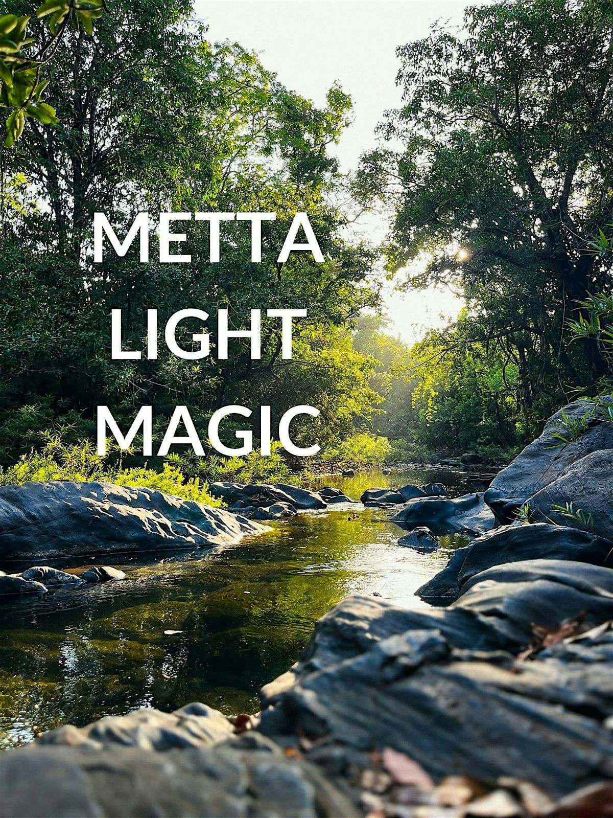 Metta Light Magic Experience