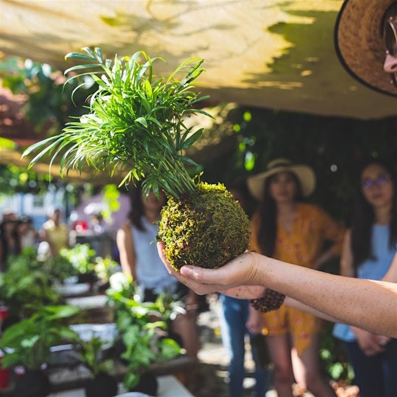 Kokedama Plant Workshop in Boston by Hoamsy