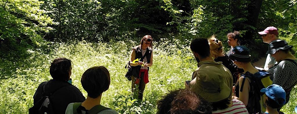 Autumn foraging walk in People's Park