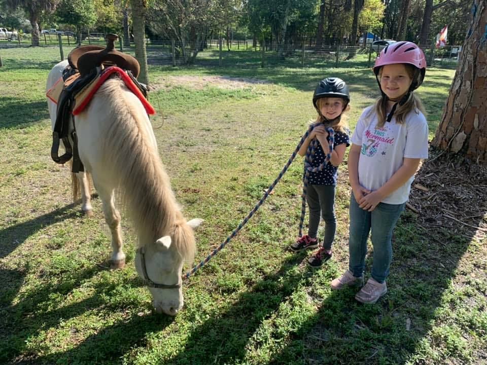 Thanksgiving Horse Week at Nature Speaks non profit horse rescue 