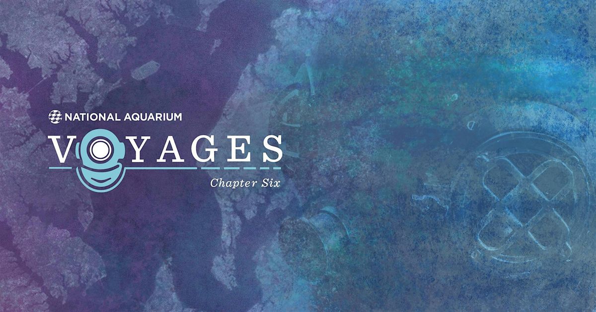 Voyages: Chapter 6