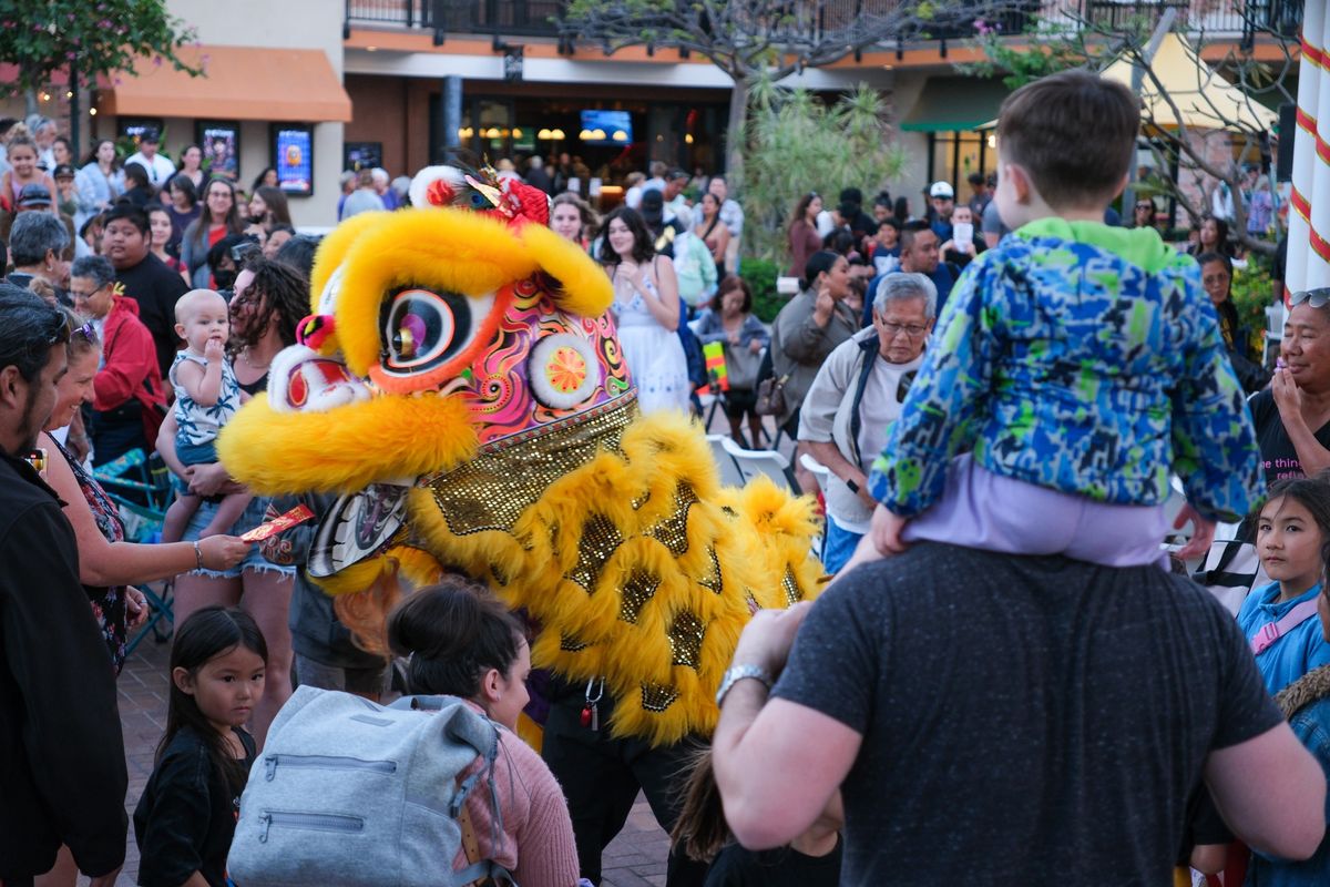 Lunar New Year Celebration