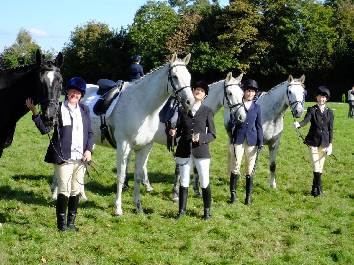 Beginners Show Jumping Clinic