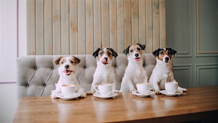 Pups & Cups Tea Tasting