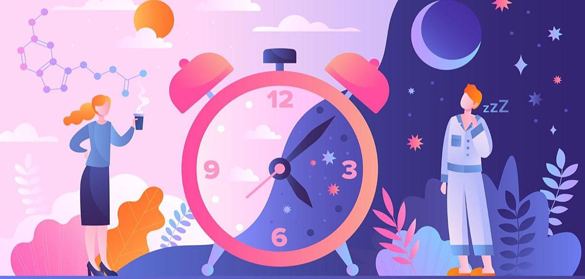 The two-process model of sleep regulation: Origin and relevance today ...
