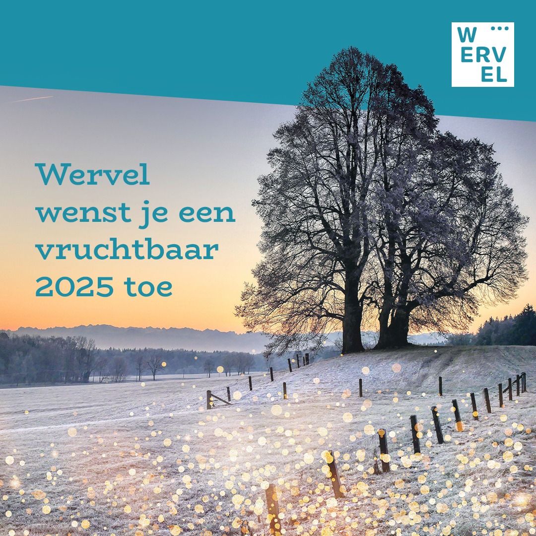 Wervelende Nieuwjaarsreceptie