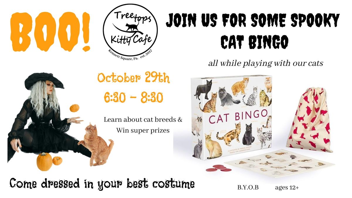 Cat Bingo at Treetops Kitty Cafe