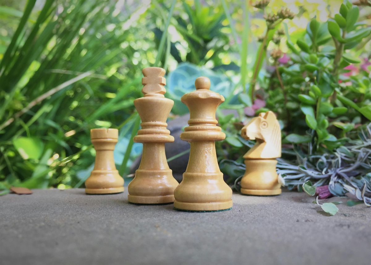 Chess Night at Barebottle Brewery