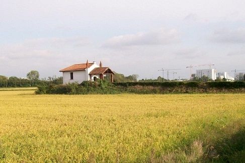 TRA NAVIGLI E RISAIE IN BICICLETTA