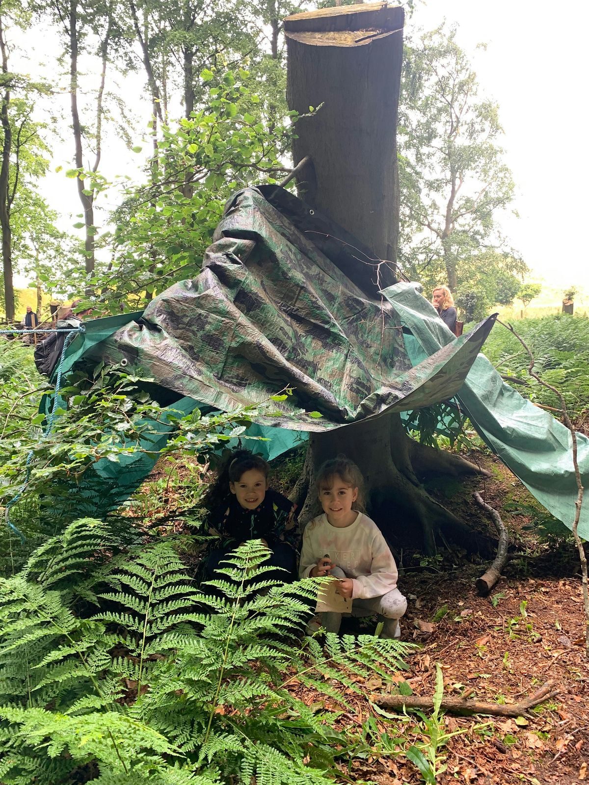 Family den building