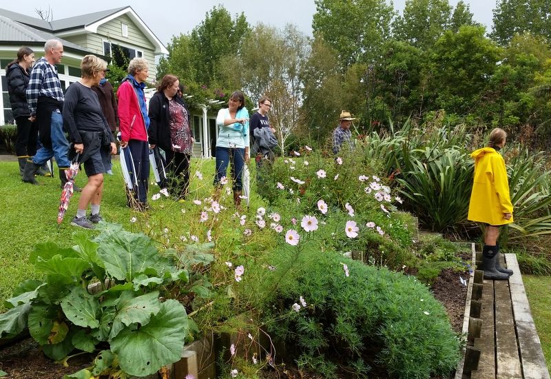 Field Trip to Permaculture Properties in the Matakana Region