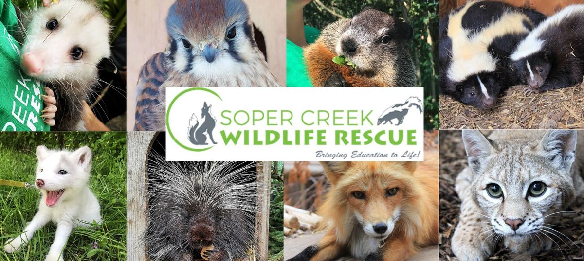 Soper Creek Wildlife Rescue Presentation