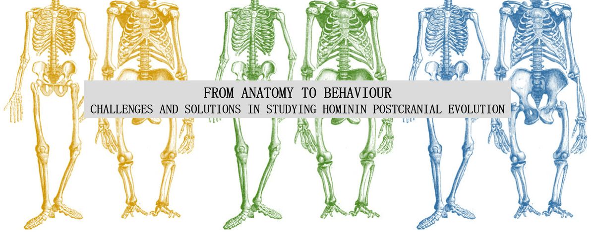 From Anatomy to Behaviour