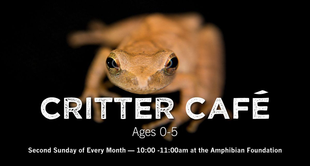 Critter Caf\u00e9 - Ages 0-5